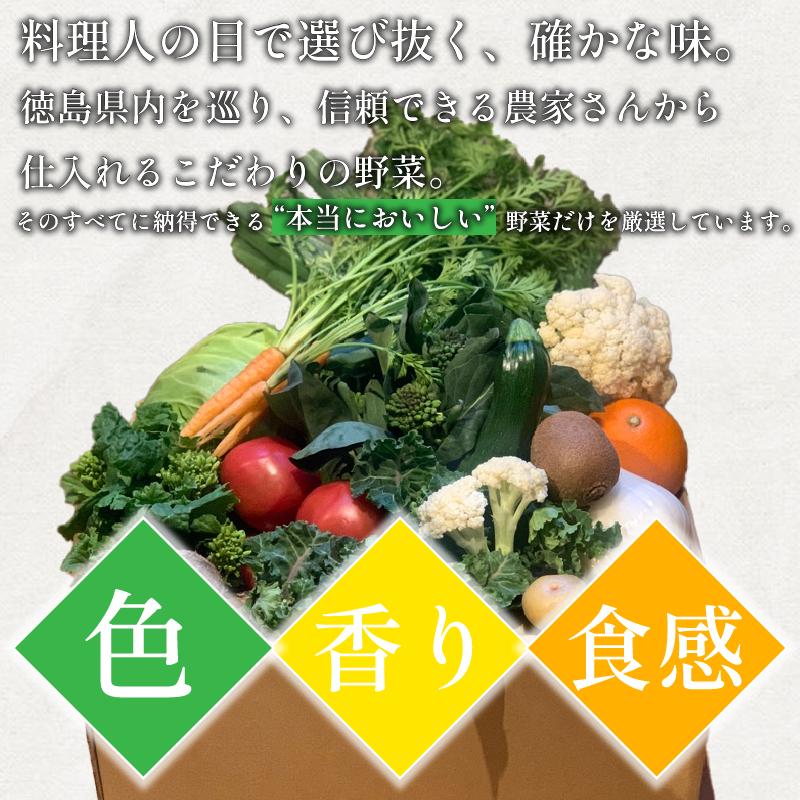 野菜 セット 9～10品 定期便 4回 季節 旬 野菜 詰め合せ 国産 季節 旬 おまかせ 産地直送 春野菜 夏野菜 秋野菜 葉物 果物 果菜 根菜 冷蔵 野菜室 ダイエット 食 栄養食 加工品 カッ