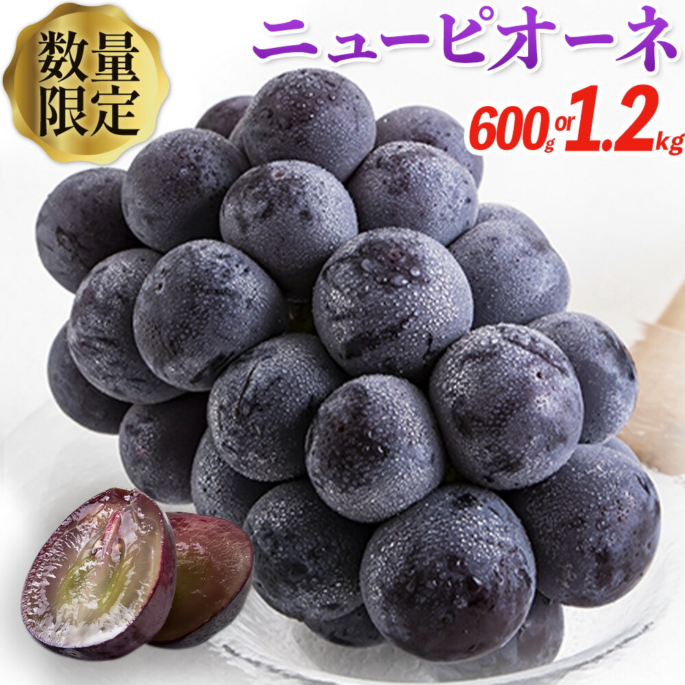 【ふるさと納税】岡山県産 ニューピオーネ 約1.2kg or 約600g 2房 1房《9月中旬-11月上旬頃出荷(土日祝除く)》岡山県 笠岡市 葡萄 果物 秀品 スイーツ フルーツ デザート 秋旬