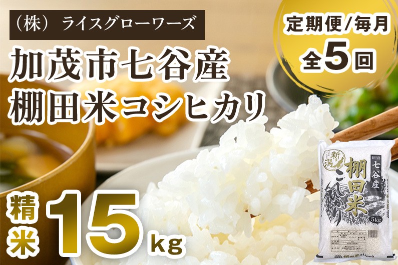 
                  【令和7年産】【定期便5ヶ月毎月お届け】七谷産 棚田米 コシヒカリ 精米 15kg（5kg×3）《順次出荷》 白米 （株）ライスグローワーズ 新潟県 加茂市産 白米 米 お米 定期便
                