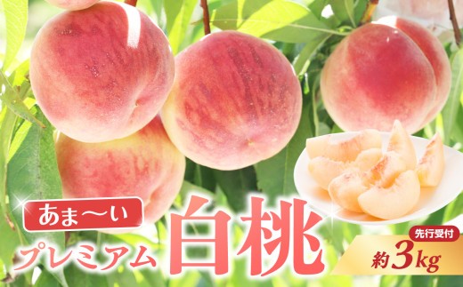 
                  ≪先行受付≫ 甘～い プレミアム白桃 約3kg【2026年8月中旬頃～発送予定】 【060-014】
                
