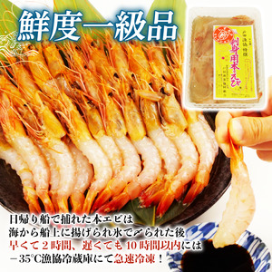 本エビ 3パック 900g 産地直送 しずおか食セレクション認定品 静岡県 沼津 戸田
