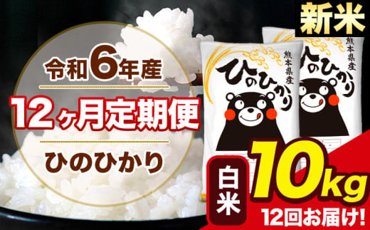 令和6年産 新米 【12ヶ月定期便】ひのひかり 白米 10kg 5kg×2袋 計12回お届け 熊本県産 こめ コメ 白米 精米 荒尾市 ひの 米 定期 《お申込み月の翌月から出荷開始》