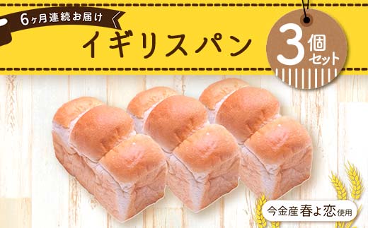 【6ヶ月連続お届け】今金産春よ恋使用！イギリスパン3個セット F21X-473