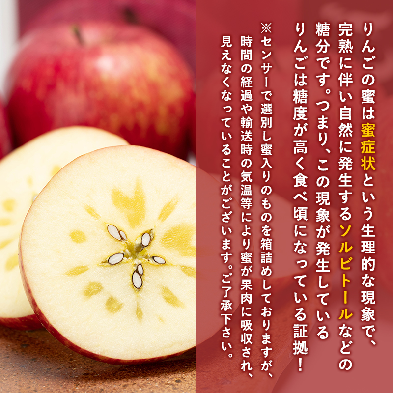 年内 蜜入り 糖度選別サンふじ約2㎏ 【JA津軽みらい・平川市産・青森りんご・12月】