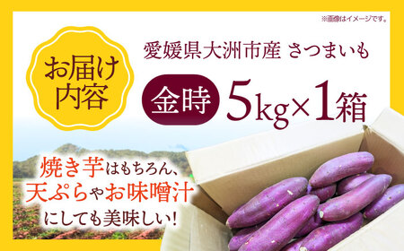 さつまいも（金時）5kg  野菜 やさい さつまいも ５kg 焼き芋 /愛たい菜[AGAP012]