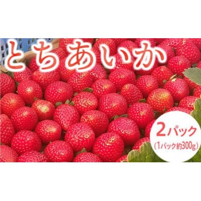 栃木県産いちご【とちあいか】(2パック(約600g))【配送不可地域：離島・北海道・沖縄・信越、北陸・東海・近畿・中国・四国・九州】【1376282】