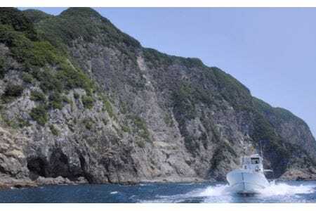 絶景千羽海崖を海から！うみがめマリンクルーズご招待4名様