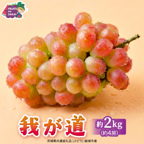 我が道 約2kg （約4房）【2026年8月より発送開始】（茨城県共通返礼品 [ぶどう]：結城市産） ぶどう ブドウ 葡萄 我が道 黒ぶどう 皮ごと 高級 国産 ふるさと納税 [FC20-NT]