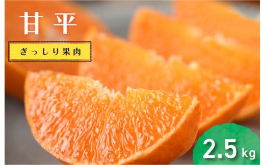 【先行予約】【数量限定】ホリ田ヤ 甘平 2.5キロ【KB00820】