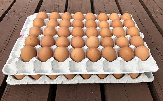 江原ファーム　体に優しい地養卵（８０個）　たまご/タマゴ/生みたて/新鮮/_AG05