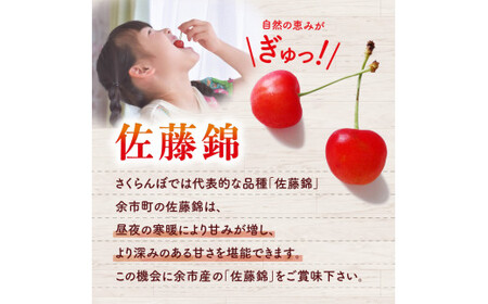 【2025年7月上旬以降発送分先行予約】さくらんぼ（佐藤錦） 1kg 北海道 余市 余市町農業協同組合 フルーツ デザート 果物 季節限定 グルメ とれたて 甘み 鮮やかな紅色 冷蔵 お取り寄せ_Y0