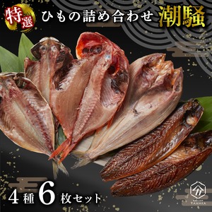 干物 厳選セット 4種 6枚 潮騒 沼津 干物