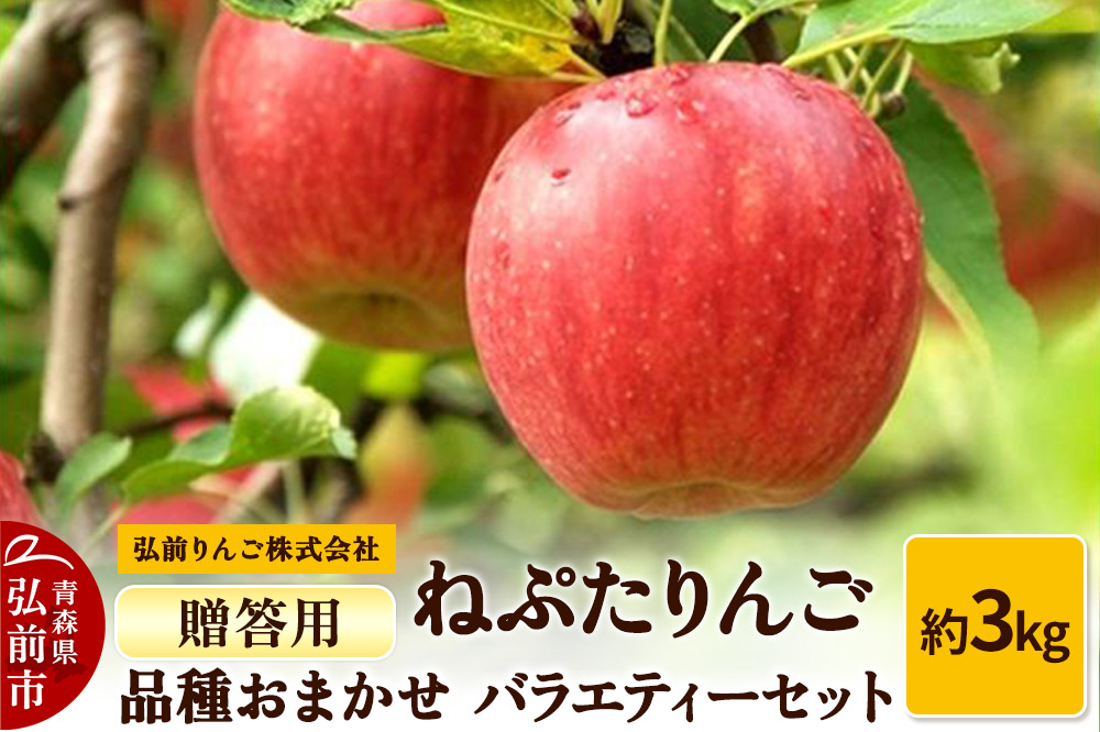 りんご ねぷたりんご バラエティーセット 贈答用 約3kg 【品種おまかせ】