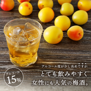 ウイスキー 富士山ウィスキー 梅酒 700ml 2本 モンドセレクション プレゼント