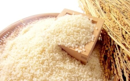 【塩竈】浦霞大吟醸　１ダース　【04203-0009】