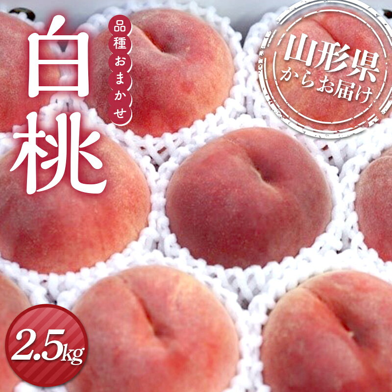 【ふるさと納税】 【2027年先行予約】 白桃 2.5kg（8個～14個入り） もも モモ 桃 デザート フルーツ 果物 くだもの 果実 食品 山形県 FSY-2168