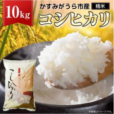 ふるさと納税 桜川市 《 令和7年産 》 コシヒカリ 精米 10kg (茨城県共通返礼品 かすみがうら市)