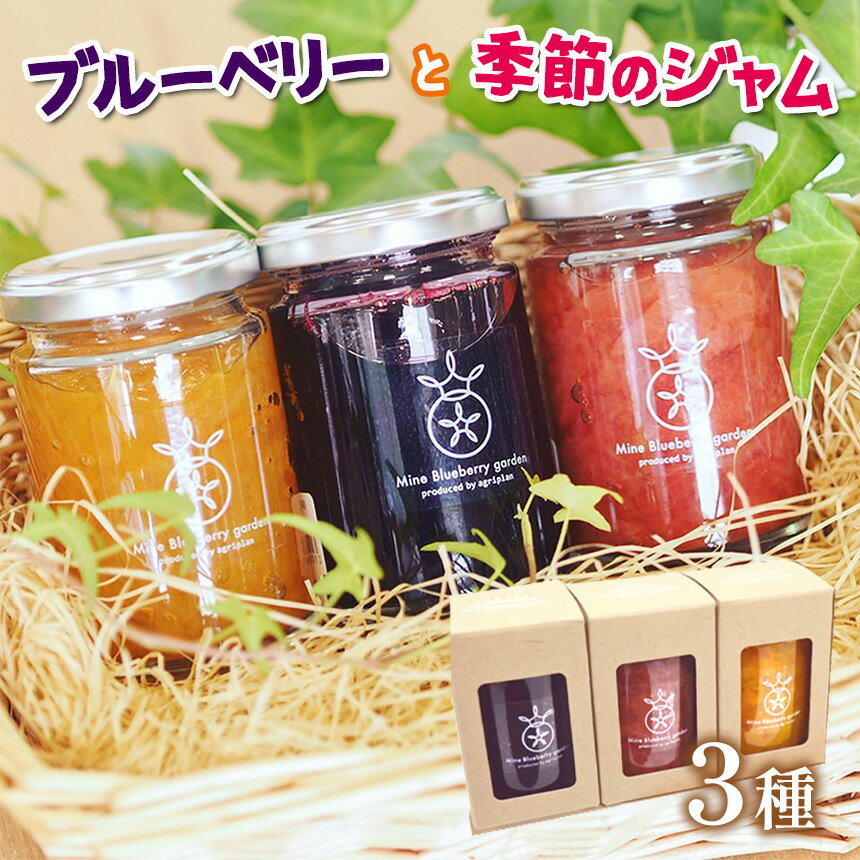 【ふるさと納税】ブルーベリーと山口県の季節のジャム3本セット ｜ フルーツ 果物 果実 ブルーベリー ジャム 無添加 セット 詰め合わせ 山口 美祢 美祢市 特産品 いちご みかん りんご 季節 140g