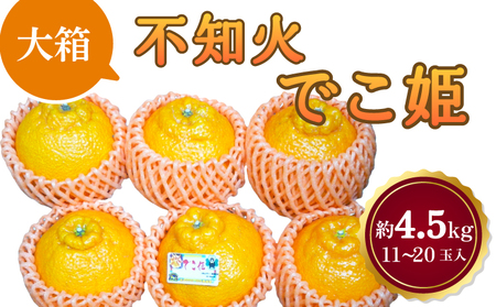 【先行予約】 不知火 でこ姫 大箱 約4.5kg（11～20玉）【吉田レモニー】【2026年2月中旬～2026年5月下旬発送】宇城市産 デコポンR デコポン同品種 デコポン RはJA熊本果実連の登録商標 デコポン不知火 不知火はデコポンの品種名