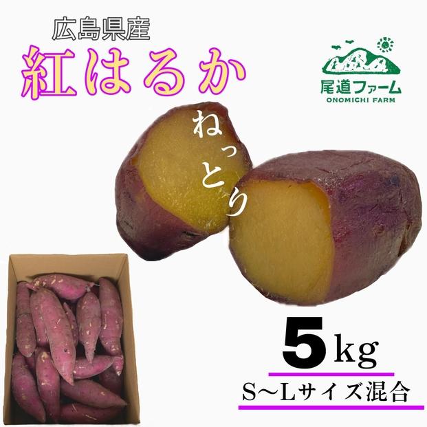 生芋(紅はるか) 5kg（サイズS～L混合）