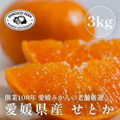 
            ＜2025年4月発送＞柑橘の大トロ＜せとか 3kg＞家庭用 愛媛みかんの老舗＜C70-9＞【1451140】
          