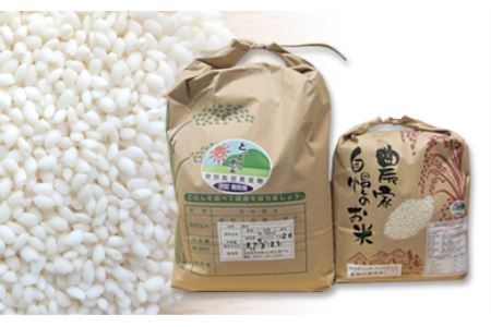 MS-21　特別栽培米こしひかり(5kg)ともち米(3kg) 令和5年産新米