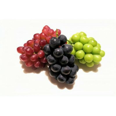 【ふるさと納税】大房ぶどう品種ランダム 3房×700g 茨城県内共通返礼品:かすみがうら市【配送不可地域：離島・沖縄県】【1562855】