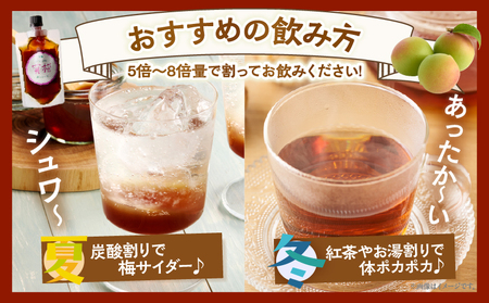 ≪先行予約≫＼ポスト投函／都農町産 蜜梅シロップ(計1本) 梅 加工品 国産_T024-014