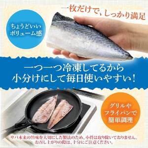 R7.7月中旬～順次発送  塩サバ 1kg 約6枚 さば 鯖 味付き 魚介 海鮮 魚 おかず お弁当 ご飯 食品 保存食 簡単 国産 冷凍 配送【R01424】