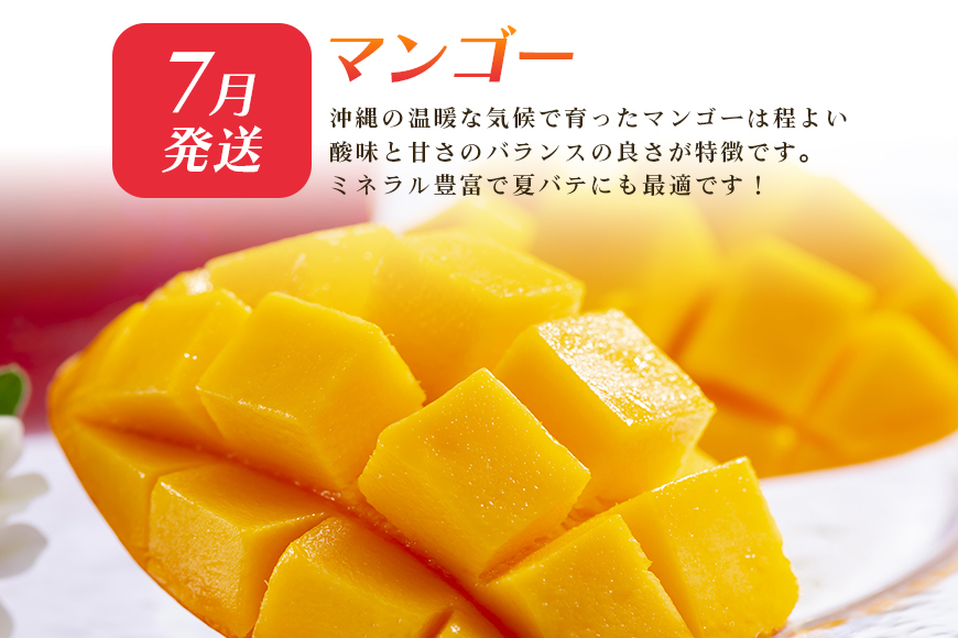 【定期便全6回】沖縄 フルーツ 定期便 6回 パッションフルーツ 沖縄産パイナップル パイン マンゴー キーツマンゴー ドラゴンフルーツ バナナ フルーツ定期便 旬 フルーツ 果物 くだもの 沖縄マン