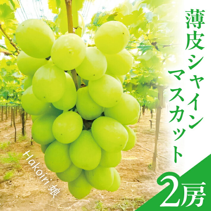 【ふるさと納税】薄皮シャインマスカット Hakoiri娘 2房 1.2kg以上 山形県酒田産 9月下旬〜10月下旬頃お届け 冷蔵便 ※離島発送・着日指定不可 種無し 葡萄 ぶどう 果物 フルーツ 期間限定 東北 酒田市 庄内 秋