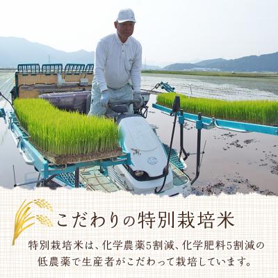 ふるさと納税 西予市 <令和7年産:西予市宇和町産特別栽培米コシヒカリ10kg>　コメ　ご飯　ゴハン　特産品　こしひかり |  | 02
