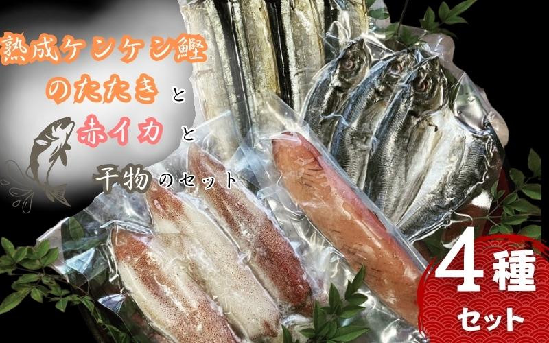 
熟成ケンケン鰹のたたきと赤イカと干物のセット（熟成ケンケン鰹タタキ×1節、赤イカ・旨イカ・甘イカからランダムで×3～5匹 、干物×6枚【あじ開き×3 、さんまみりん干し×3】）/ かつお かつおのたたき カツオ いか アジ サンマ 詰め合わせ ひもの【gyg226A】
