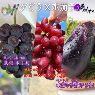 ふるさと納税 岸和田市 贈り物に 甘々ぶどう2種 泉湧誉とクイーンセブン、極上泉州水なすぬか漬け5個 計3.3kg