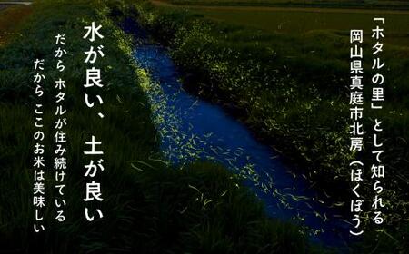 【令和8年産】 新米 岡山ほたる米 きぬむすめ 精米5kg (岡山県真庭産) 【KF-R003-01】