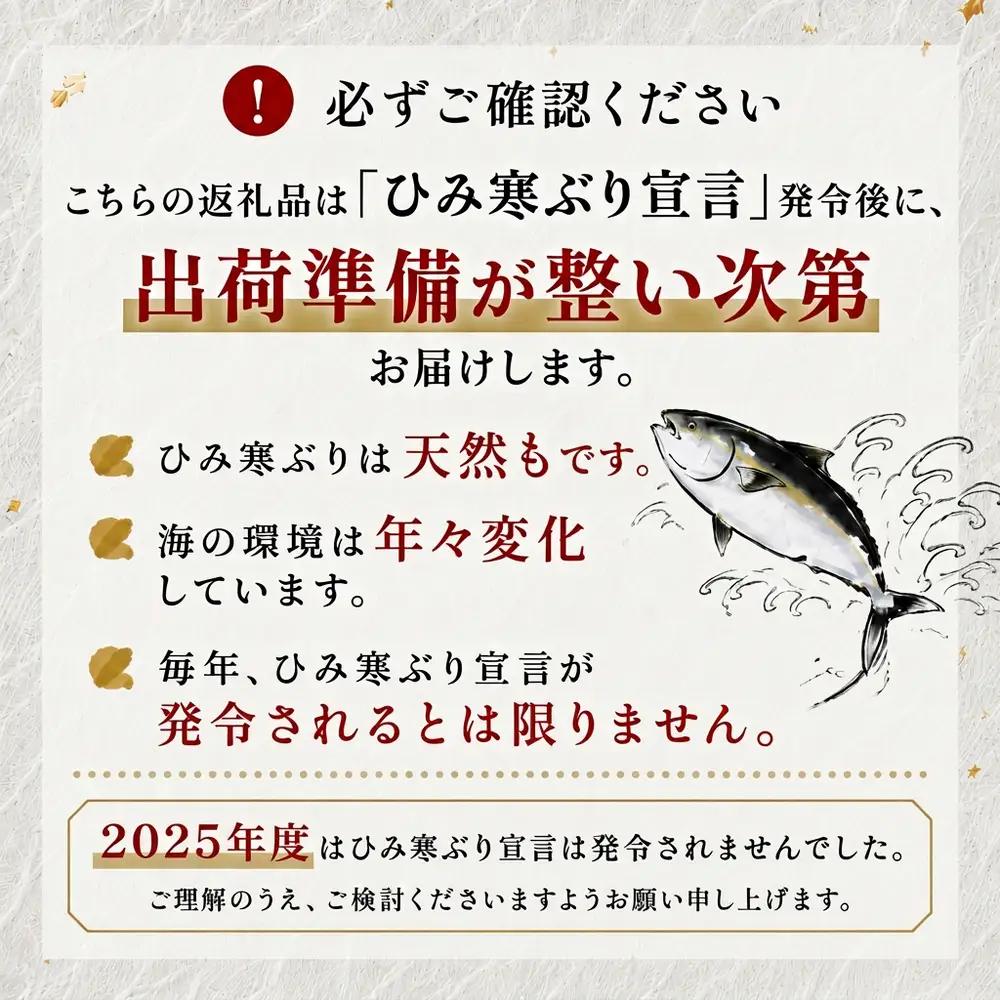 【先行予約】ひみ寒ぶり 8～10kg台物 半身【角安商店】※配送エリア限定※　