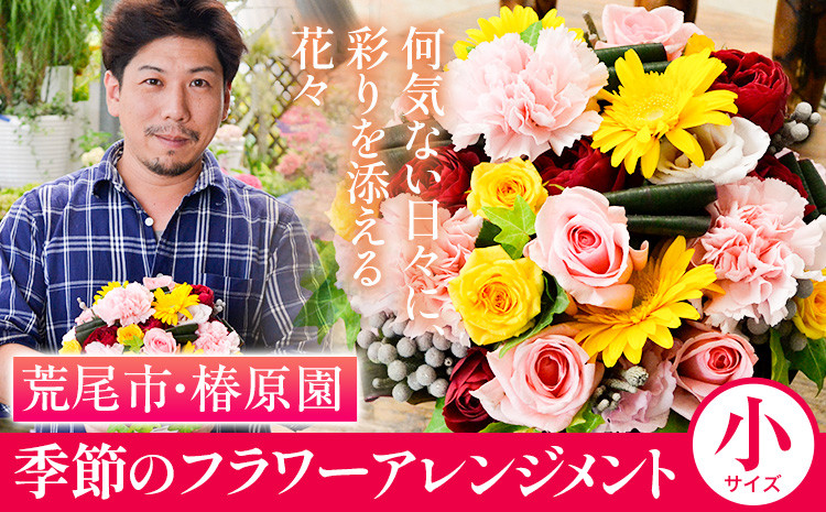 
            「椿原園」の 季節のフラワーアレンジメント 小サイズ 荒尾市 花 フラワーアレンジ アレンジメント 生花 《60日以内に出荷予定(土日祝除く)》
          