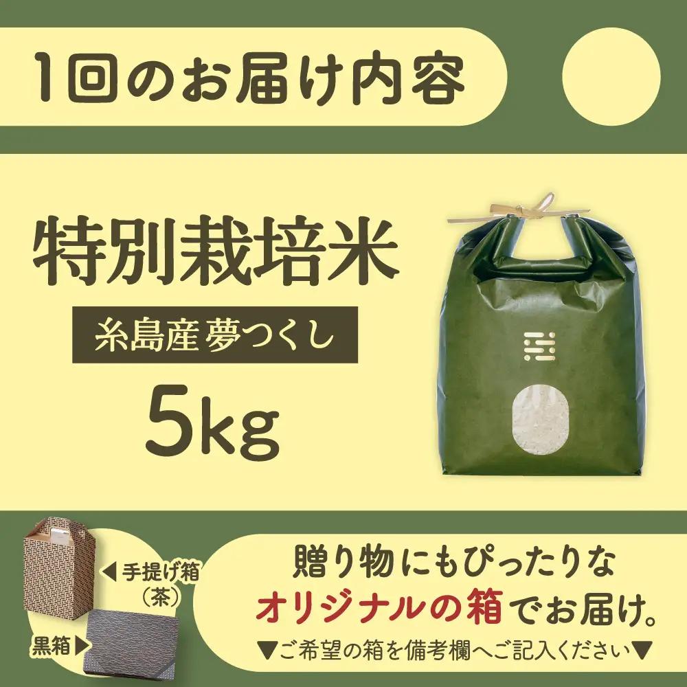 【全6回定期便】 とくべつの中のとくべつ 特別栽培米 5kg 夢つくし 吉富町/(株)やました[BGBX007]