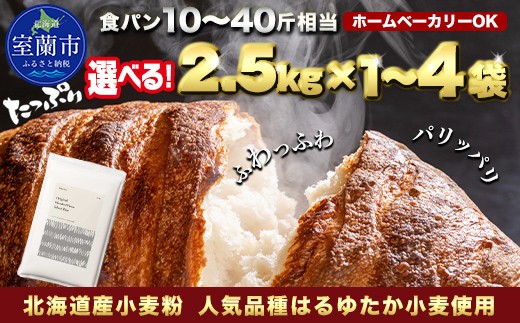 
                  【選べる容量・回数】北海道産 はるゆたかブレンド小麦粉 シルバーライズ（パン用強力粉） 【 ふるさと納税 人気 おすすめ ランキング 小麦 小麦粉 粉 シルバーライズ はるゆたか ブレンド パン用 強力粉 穀物 国産 北海道産 食パン パン こむぎ こむぎこ  ギフト 贈答 プレゼント 贈り物 北海道 室蘭市 送料無料 】 MROBI013-v
                