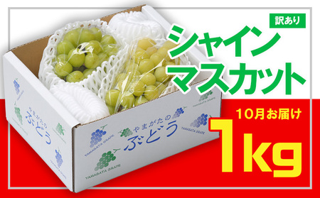 ☆フルーツ王国山形☆[訳あり] シャインマスカット1kg (1～3房)[10月お届け] 【令和7年産先行予約】FS23-854 くだもの 果物 フルーツ 山形 山形県 山形市 2025年産