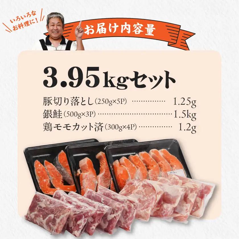 ≪肉×魚≫小分け3種セット(豚切り落とし250g×5P・鶏モモカット済300g×4P・銀鮭500g×3P)〔23-8401〕_(都城市) 小分けパック 冷凍 お弁当 おかず
