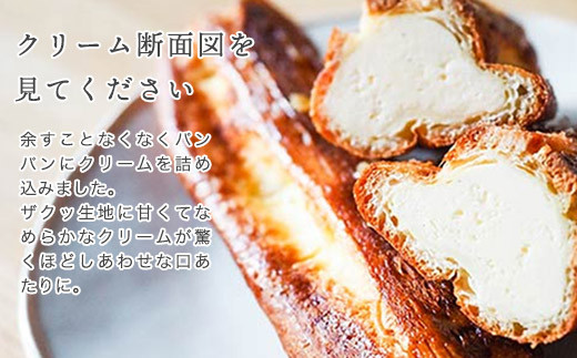 プレーン：【12本セット】新食感!?シュークリーム シュッシュ 5種食べ比べ シューアイス お試し 抹茶ミルクいちごチョコキャラメルナッツコーティング お中元 スイーツギフト お取り寄せ 冷たい 夏 