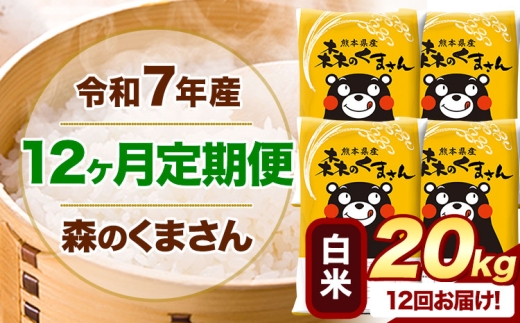 【12ヶ月定期便】 令和7年産 白米  森のくまさん 20kg 5kg×4袋  《お申込み翌月から出荷》 熊本県産 白米 精米 米 こめ コメ お米 kome