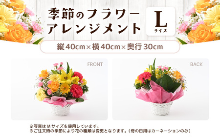 【母の日ギフト】 選べるカラー 季節のフラワーアレンジメント L (レッド・ピンク) （母の日対応） 【お花 フラワー アレジメント 花束 ギフト 生花 プレゼント 花束 花 記念日 お祝い】 [B-