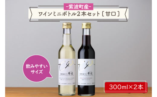 産地限定 ワインぶどう品種使用 ワインミニボトル ２本セット 甘口 ふるさと納税 紫波町産 テロワール ワイン (AL057-2)