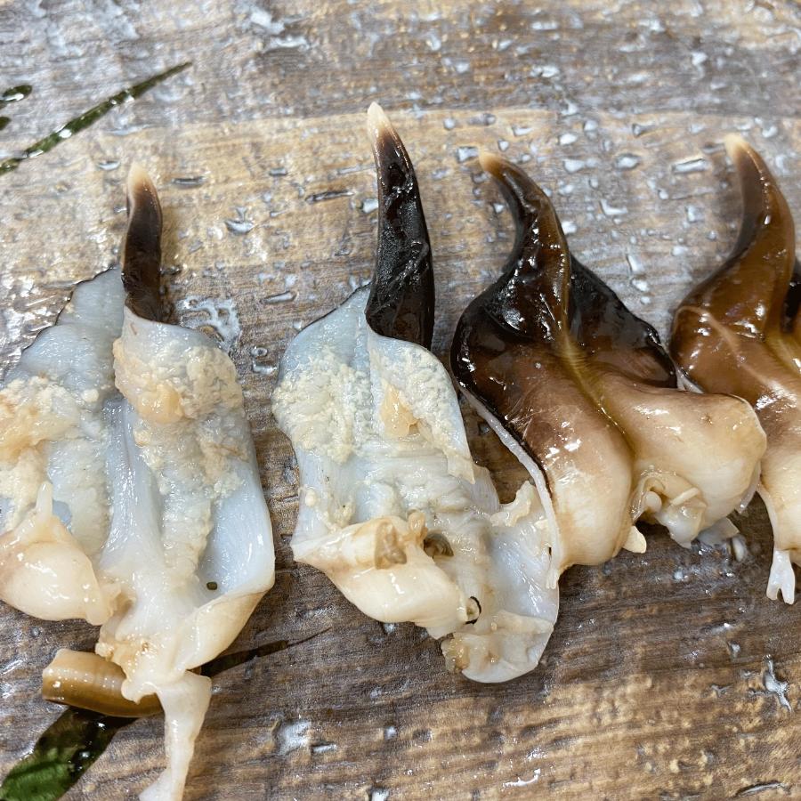 【もったいない！を食べよう】＜岬水産＞「とり貝」お刺身 90gx５袋