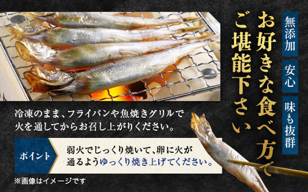 ししゃも雄雌食べ比べ 2ｋｇ セット 訳アリ シシャモ ししゃも カラフトししゃも 大洗 規格外 訳あり わけあり 傷_AV013