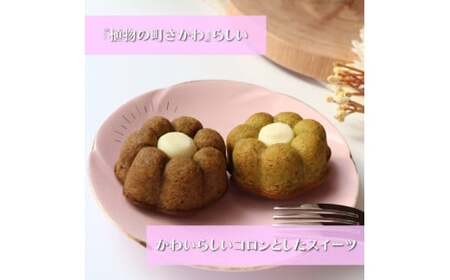【ふるさと納税】＜おかしの家Repos(ルポ) さかわティグレ＞焼き菓子 個包装 フィナンシェ マドレーヌ リングケーキ 佐川茶 焙じ茶 ほうじ茶 ギフト プレゼント 化粧箱入 菓子職人手作り 保存料