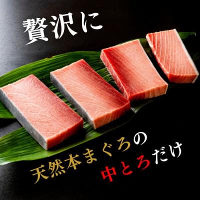 ふるさと納税 三浦市 まぐろ専門の老舗問屋からお届け!とろける!上質 天然本まぐろ中トロ1kg!三崎港から 海鮮丼 |  | 01