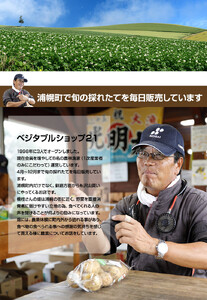 かぼちゃ(2玉)とたまねぎ(約5kg)のセット 橋枝物産　2026年9月中旬以降　順次発送